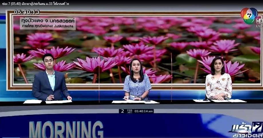 Mol-Thailand