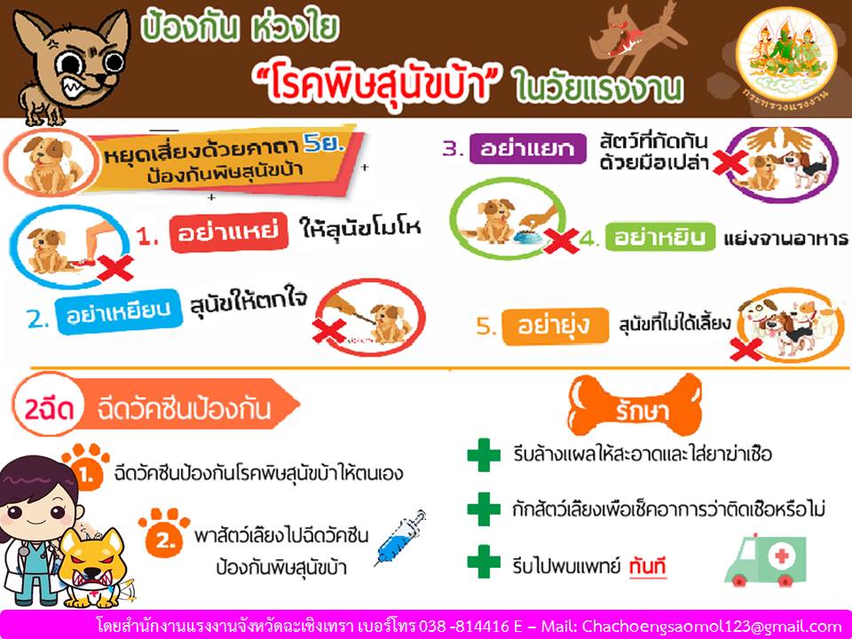 Mol-Thailand